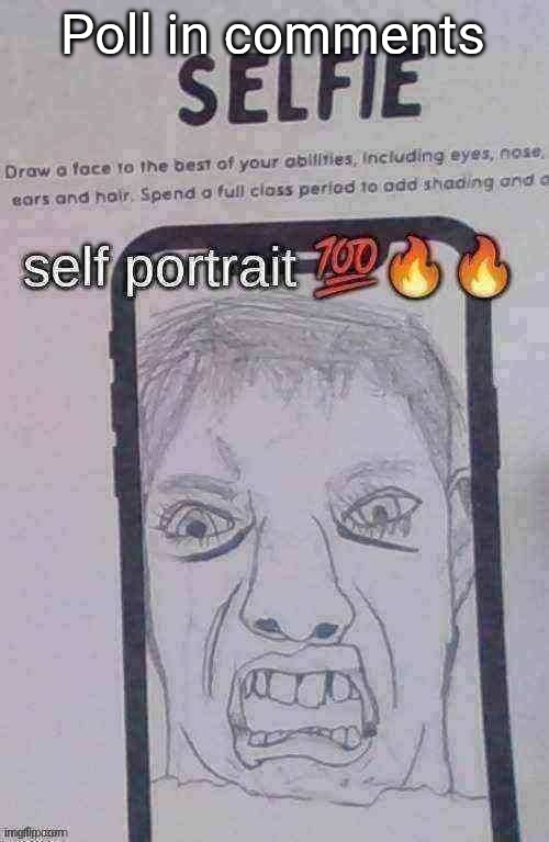 Self Portrait | Poll in comments | image tagged in self portrait | made w/ Imgflip meme maker