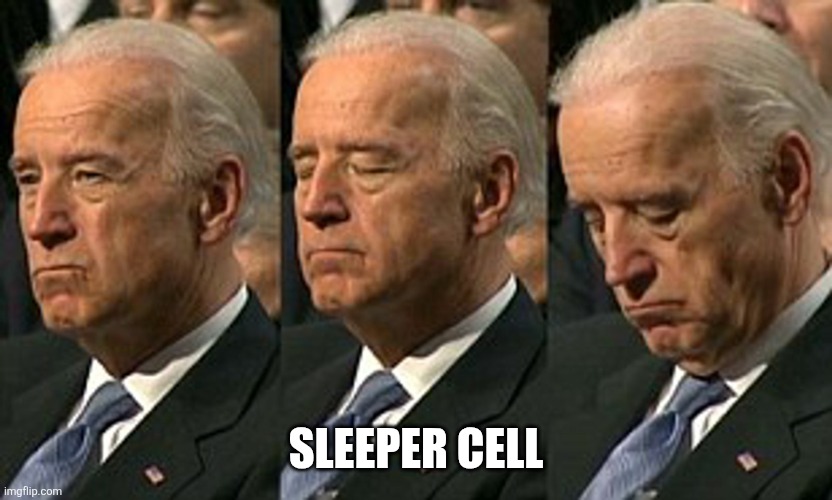 dangerous | SLEEPER CELL | image tagged in joe biden sleeping | made w/ Imgflip meme maker