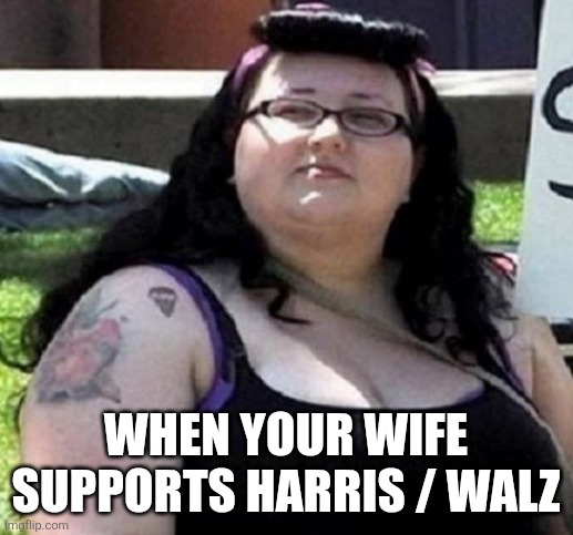 fat feminist | WHEN YOUR WIFE SUPPORTS HARRIS / WALZ | image tagged in fat feminist | made w/ Imgflip meme maker