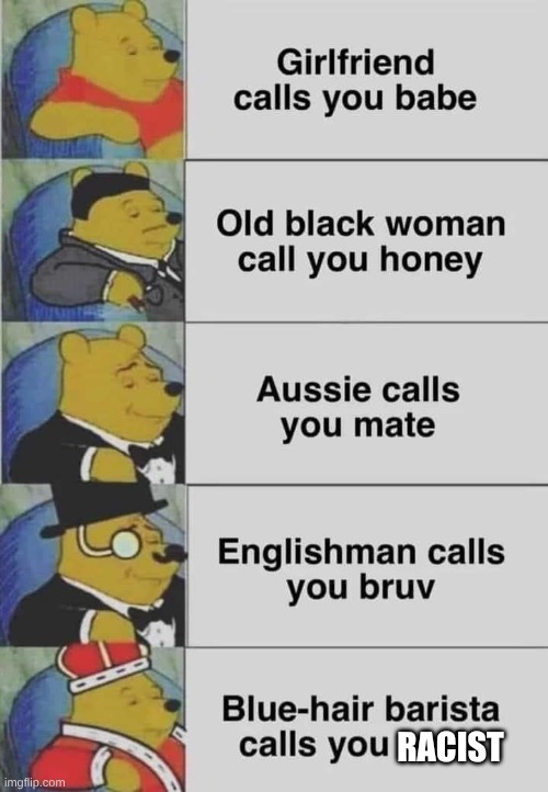 Winnie The Pooh Racist | RACIST | image tagged in tuxedo winnie the pooh,winnie the pooh,why are you gay,why are you booing me i'm right,sewmyeyesshut | made w/ Imgflip meme maker