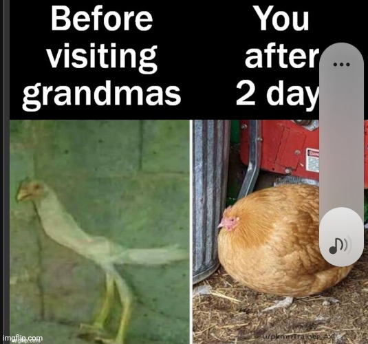 F7cygg6 | image tagged in v6gf5fd | made w/ Imgflip meme maker