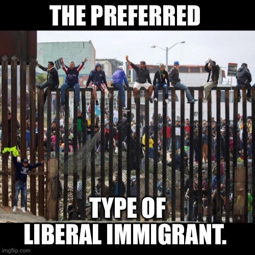 Illegal border crossing aliens | THE PREFERRED TYPE OF LIBERAL IMMIGRANT. | image tagged in illegal border crossing aliens | made w/ Imgflip meme maker
