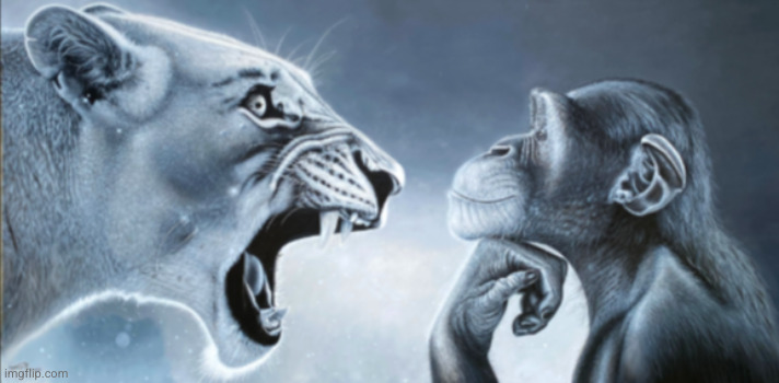 Thinking monkey and lion | image tagged in thinking monkey and lion | made w/ Imgflip meme maker