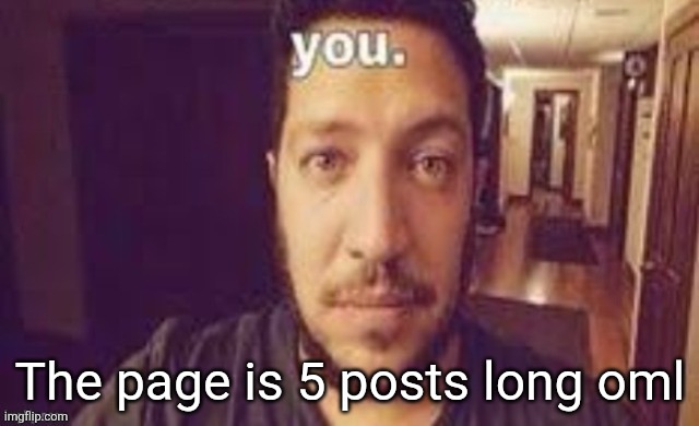 you. | The page is 5 posts long oml | image tagged in you | made w/ Imgflip meme maker