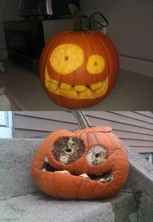 meth pumpkin | image tagged in meth pumpkin | made w/ Imgflip meme maker