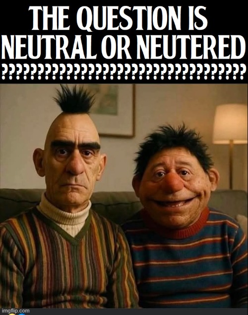 Bert and Ernie: the later years | image tagged in vince vance,bert and ernie,memes,sesame street,muppets,cartoons | made w/ Imgflip meme maker