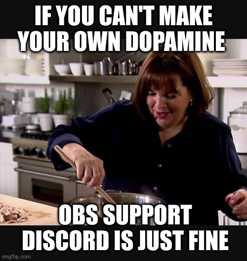 Ina Garten | IF YOU CAN'T MAKE YOUR OWN DOPAMINE; OBS SUPPORT DISCORD IS JUST FINE | image tagged in ina garten | made w/ Imgflip meme maker