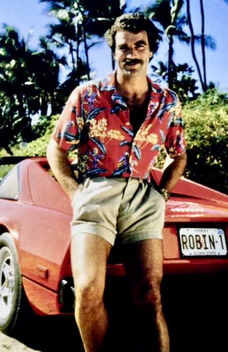 Magnum PI Blank Meme Template
