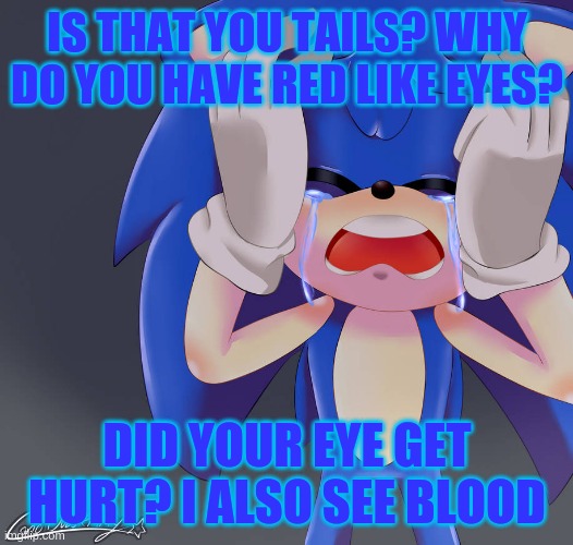 Sonic crying | IS THAT YOU TAILS? WHY DO YOU HAVE RED LIKE EYES? DID YOUR EYE GET HURT? I ALSO SEE BLOOD | image tagged in sonic crying | made w/ Imgflip meme maker