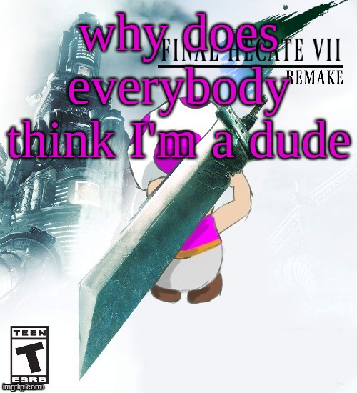 Final Hecate VII (thank you disco) | why does everybody think I'm a dude | image tagged in final hecate vii thank you disco | made w/ Imgflip meme maker