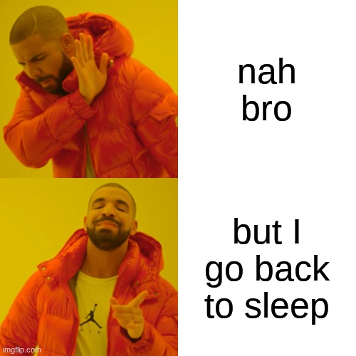 nah bro but I go back to sleep | image tagged in memes,drake hotline bling | made w/ Imgflip meme maker