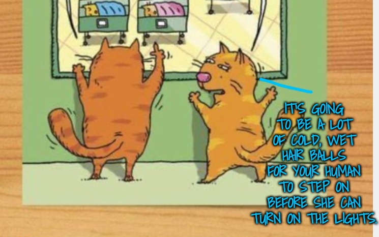 IT'S GOING TO BE A LOT OF COLD, WET HAIR BALLS FOR YOUR HUMAN TO STEP ON BEFORE SHE CAN TURN ON THE LIGHTS. | made w/ Imgflip meme maker