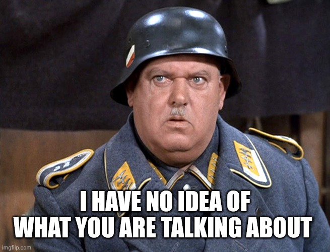 Feldwebel Schulz | I HAVE NO IDEA OF WHAT YOU ARE TALKING ABOUT | image tagged in feldwebel schulz | made w/ Imgflip meme maker