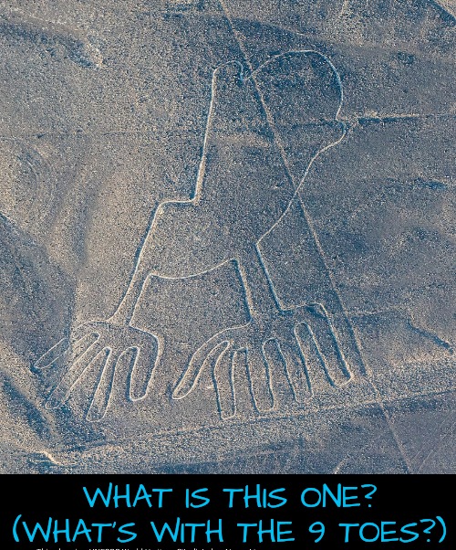 WHAT IS THIS ONE? (WHAT'S WITH THE 9 TOES?) | made w/ Imgflip meme maker