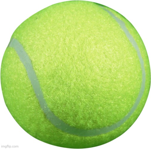 Tennis Ball | image tagged in tennis ball | made w/ Imgflip meme maker