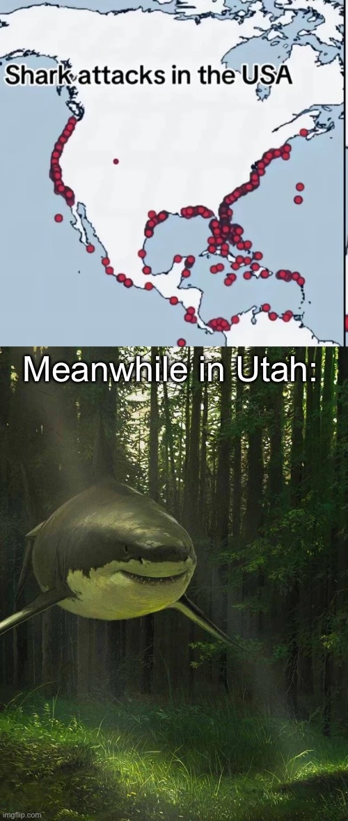 Shark attacks | Meanwhile in Utah: | image tagged in shark,shark week,bite,attack,utah | made w/ Imgflip meme maker