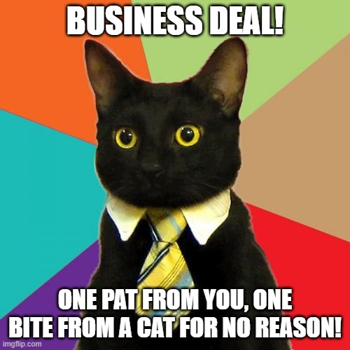 Bruh | BUSINESS DEAL! ONE PAT FROM YOU, ONE BITE FROM A CAT FOR NO REASON! | image tagged in memes,business cat | made w/ Imgflip meme maker