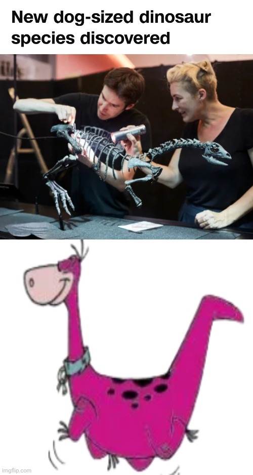 image tagged in dinosaur,dogs,dog,barney the dinosaur | made w/ Imgflip meme maker