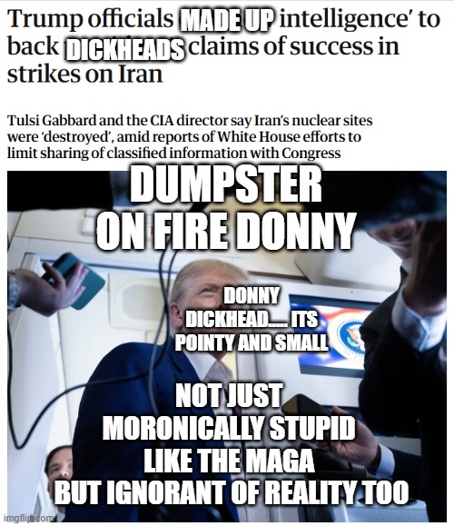 Stupid Donald Dummy just like his dick sucking supporters. | MADE UP; DICKHEADS; DUMPSTER ON FIRE DONNY; DONNY DICKHEAD..... ITS POINTY AND SMALL; NOT JUST 
MORONICALLY STUPID 
LIKE THE MAGA 
BUT IGNORANT OF REALITY TOO | image tagged in donnys manufactured bullshit | made w/ Imgflip meme maker