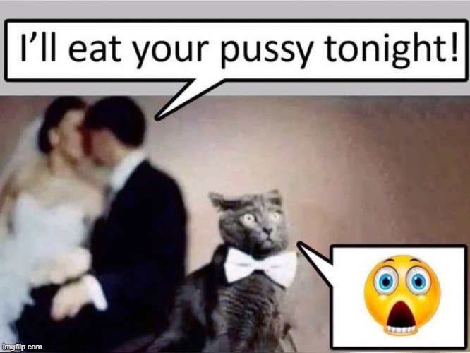 image tagged in memes,kitty,pussy | made w/ Imgflip meme maker