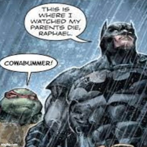 image tagged in memes,batman,raphael | made w/ Imgflip meme maker