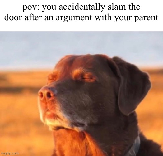 my time has come | pov: you accidentally slam the door after an argument with your parent | image tagged in dog accepting fate,oops,memes,funny,guess i'll die | made w/ Imgflip meme maker