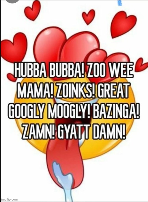 HUBBA BUBBA! ZOO WEE MAMA! ZOINKS | image tagged in hubba bubba zoo wee mama zoinks | made w/ Imgflip meme maker