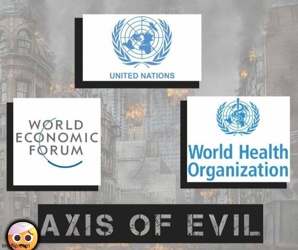 Indeed | 🤕 | image tagged in wef,un,who,trifecta,sometimes i wonder | made w/ Imgflip meme maker