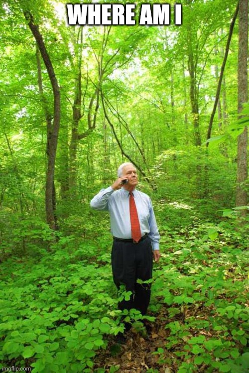 Lost in the Woods | WHERE AM I | image tagged in lost in the woods | made w/ Imgflip meme maker