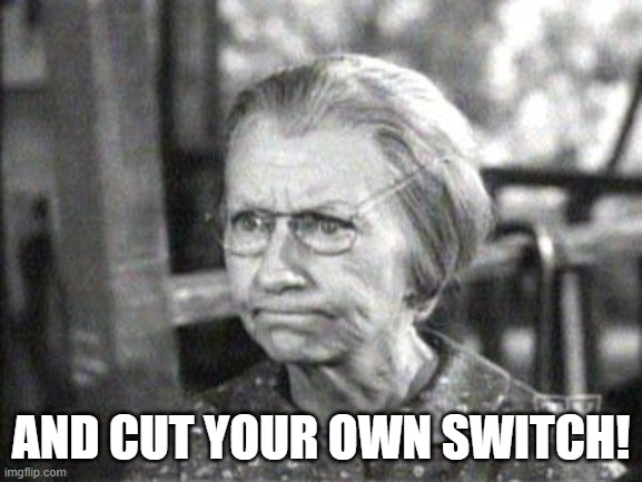 Granny Clampett | AND CUT YOUR OWN SWITCH! | image tagged in granny clampett | made w/ Imgflip meme maker