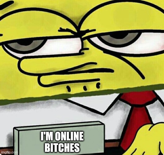 Spongebob nametag | I'M ONLINE BITCHES | image tagged in spongebob nametag | made w/ Imgflip meme maker