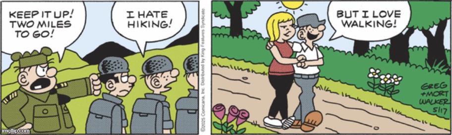 Beetle Bailey | image tagged in comics | made w/ Imgflip meme maker