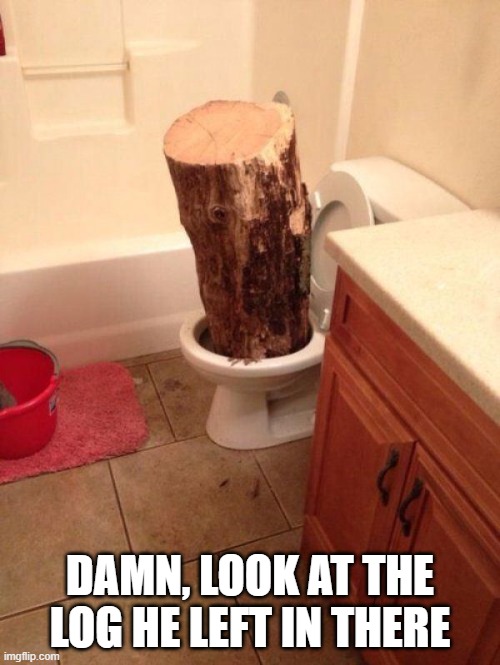 Log | DAMN, LOOK AT THE LOG HE LEFT IN THERE | image tagged in funny,memes | made w/ Imgflip meme maker