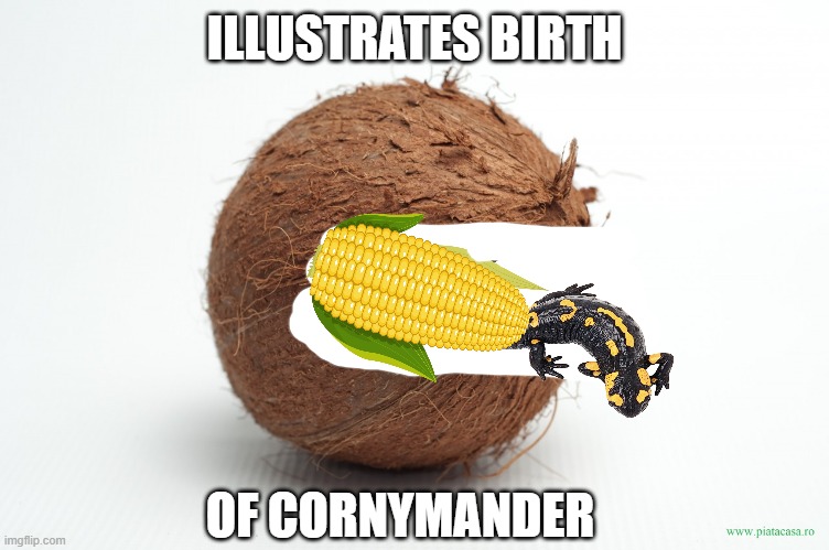 <Topicalness:Coconut Day &Activity:Commenting Overnight & vvvvvvvPurpose_To_Show_Web I'm_Good &Relatable:Account For ['P'] ¬&> | ILLUSTRATES BIRTH; OF CORNYMANDER | image tagged in a/ meme,o/ coconut,b/ memedian,f/ followers,t/ enjoy,c/ ai | made w/ Imgflip meme maker
