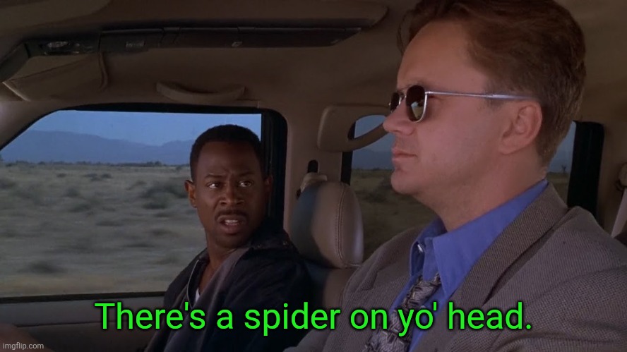 There's a spider on yo' head. | made w/ Imgflip meme maker