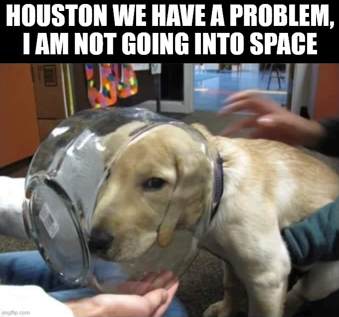 Not a doggonaut | HOUSTON WE HAVE A PROBLEM, I AM NOT GOING INTO SPACE | image tagged in dogs | made w/ Imgflip meme maker