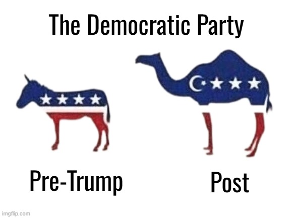 Socialism is about Power for the Ruling Class | The Democratic Party; Pre-Trump; Post | image tagged in democrats,islam,logo,trump | made w/ Imgflip meme maker