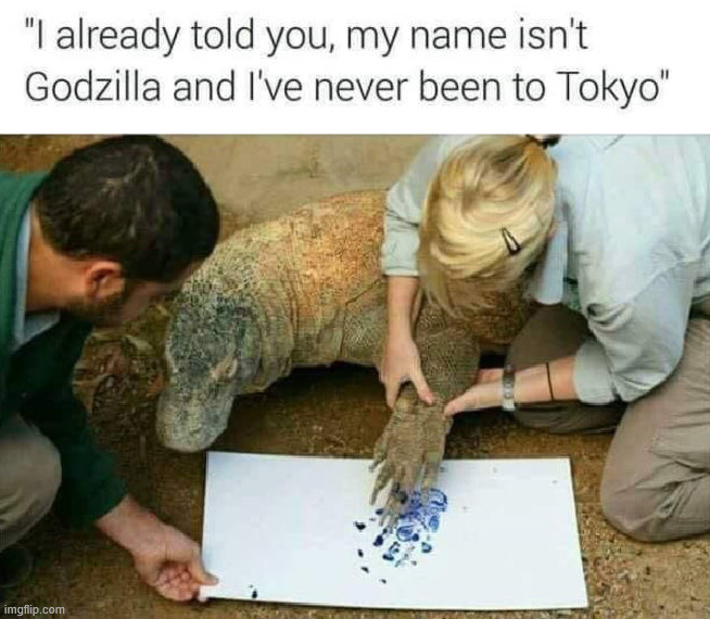 Oh no, there goes Tokyo | image tagged in godzilla | made w/ Imgflip meme maker