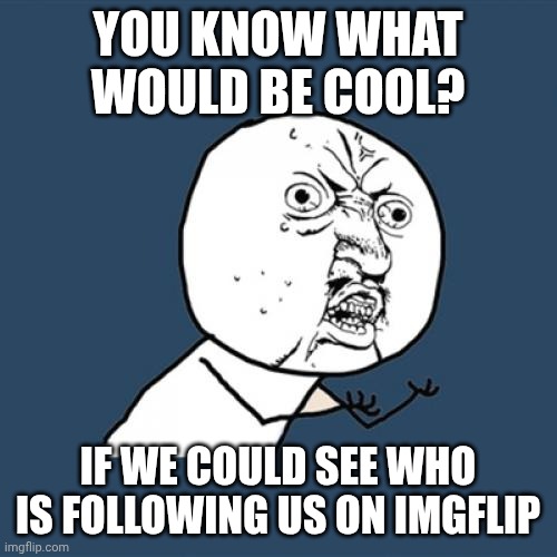 I don't know if there is a way | YOU KNOW WHAT WOULD BE COOL? IF WE COULD SEE WHO IS FOLLOWING US ON IMGFLIP | image tagged in memes,y u no | made w/ Imgflip meme maker