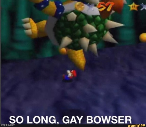 So Long, Gay Bowser! | image tagged in so long gay bowser | made w/ Imgflip meme maker