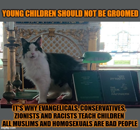 This #lolcat wonders why the radical right grooms their children | YOUNG CHILDREN SHOULD NOT BE GROOMED; IT'S WHY EVANGELICALS, CONSERVATIVES, 
ZIONISTS AND RACISTS TEACH CHILDREN 
ALL MUSLIMS AND HOMOSEXUALS ARE BAD PEOPLE | image tagged in grooming,zionism,evangelicals,conservative hypocrisy,lolcat | made w/ Imgflip meme maker