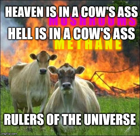rulers of the universe | M U S H R O O M S M E T H A N E RULERS OF THE UNIVERSE HELL IS IN A COW'S ASS HEAVEN IS IN A COW'S ASS | image tagged in memes,evil cows,bill hicks,global warming,rulers of the universe,nsfw | made w/ Imgflip meme maker