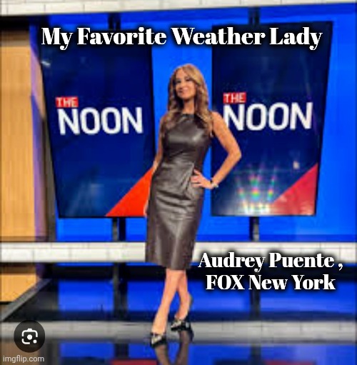 My Favorite Weather Lady Audrey Puente , 
FOX New York | made w/ Imgflip meme maker