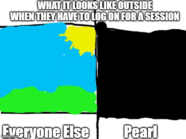 The Time During the Life Series | WHAT IT LOOKS LIKE OUTSIDE WHEN THEY HAVE TO LOG ON FOR A SESSION; Everyone Else; Pearl | made w/ Imgflip meme maker