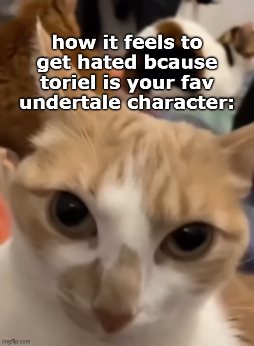 how it feels to get hated bcause toriel is your fav undertale character: | image tagged in sans of topic | made w/ Imgflip meme maker