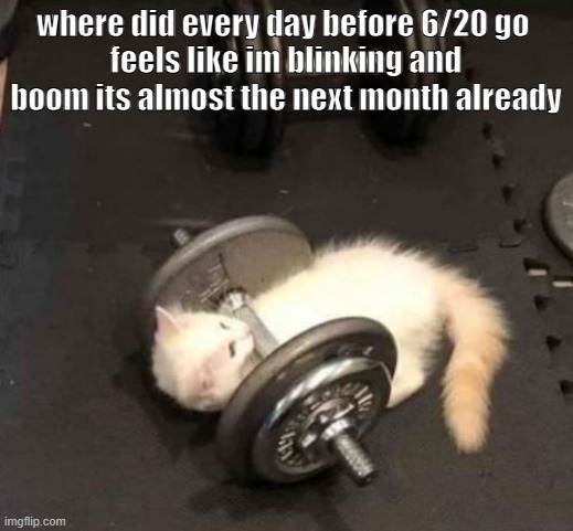 cat working out | where did every day before 6/20 go 
feels like im blinking and boom its almost the next month already | image tagged in cat working out | made w/ Imgflip meme maker