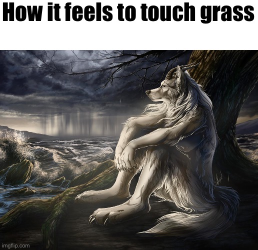 Sitting Wolf | How it feels to touch grass | image tagged in sitting wolf | made w/ Imgflip meme maker