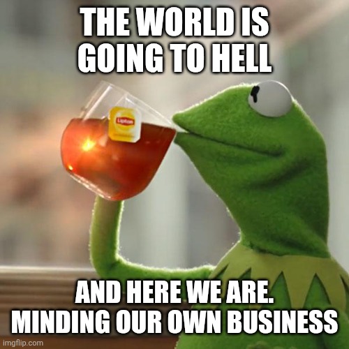Not sure if business or businesses tbh. | THE WORLD IS GOING TO HELL; AND HERE WE ARE. MINDING OUR OWN BUSINESS | image tagged in memes,but that's none of my business,kermit the frog | made w/ Imgflip meme maker