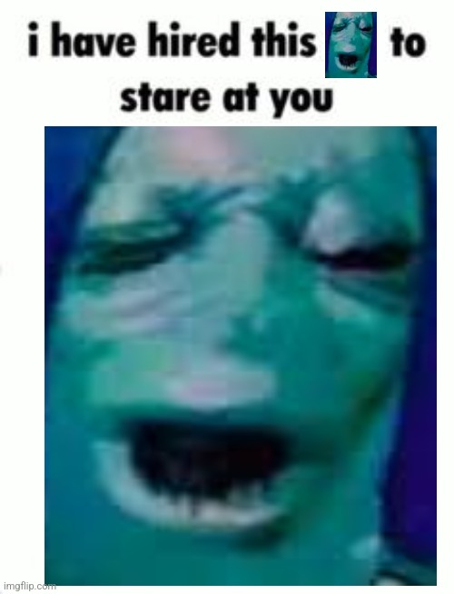 I have hired this to stare at you blank template | image tagged in i have hired this to stare at you blank template | made w/ Imgflip meme maker