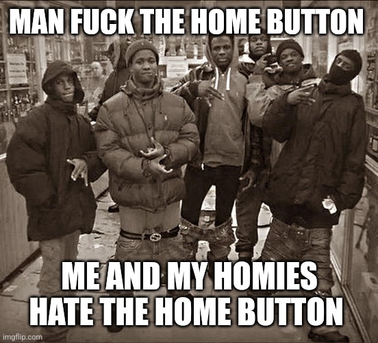 Me and my homies | MAN FUCK THE HOME BUTTON; ME AND MY HOMIES HATE THE HOME BUTTON | image tagged in all my homies hate | made w/ Imgflip meme maker